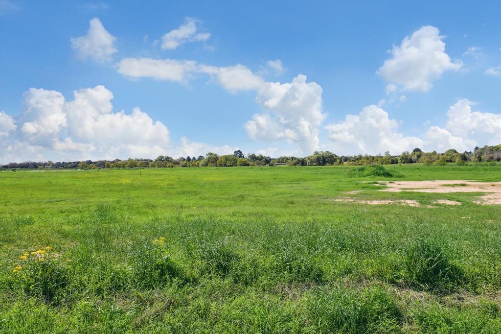 LOT 39 Acres Ridgeview Drive, Cat Spring, Texas image 15