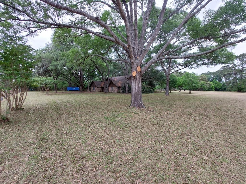 206 Garden, Conroe, Texas image 12