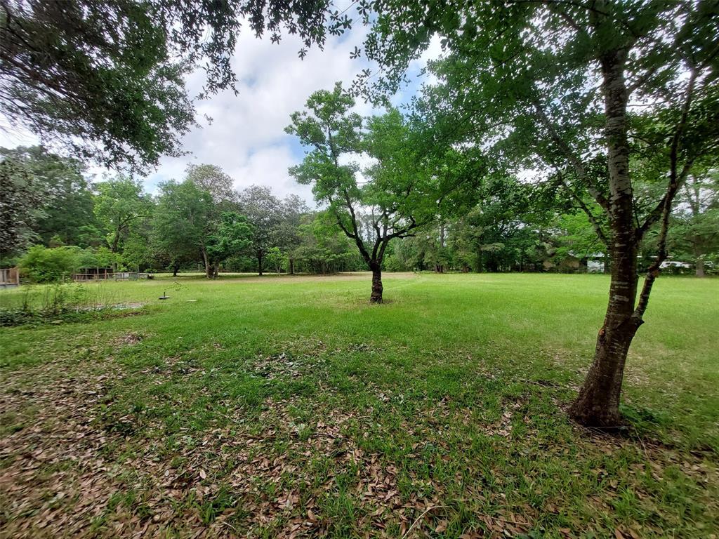 206 Garden, Conroe, Texas image 10