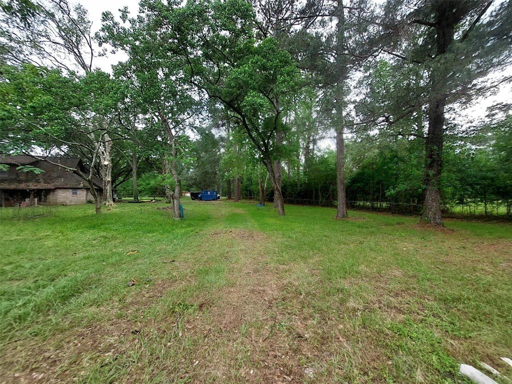 206 Garden, Conroe, Texas image 7