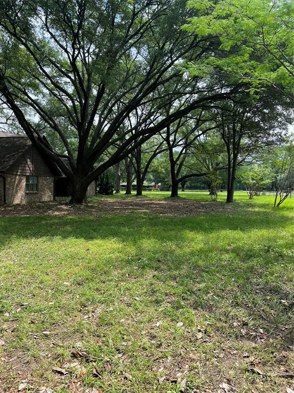 206 Garden, Conroe, Texas image 28