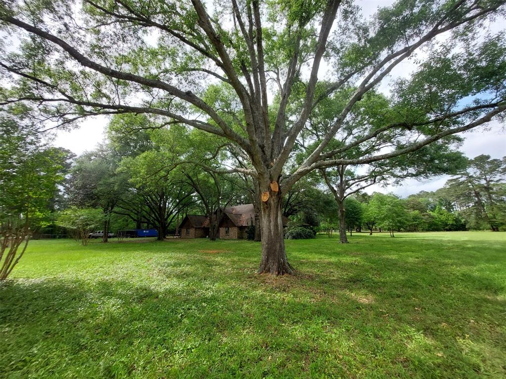 206 Garden, Conroe, Texas image 9
