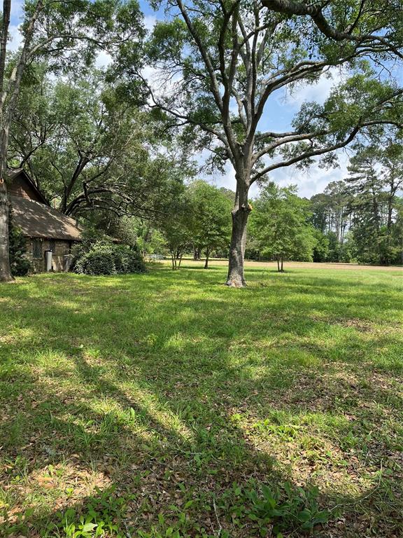 206 Garden, Conroe, Texas image 29