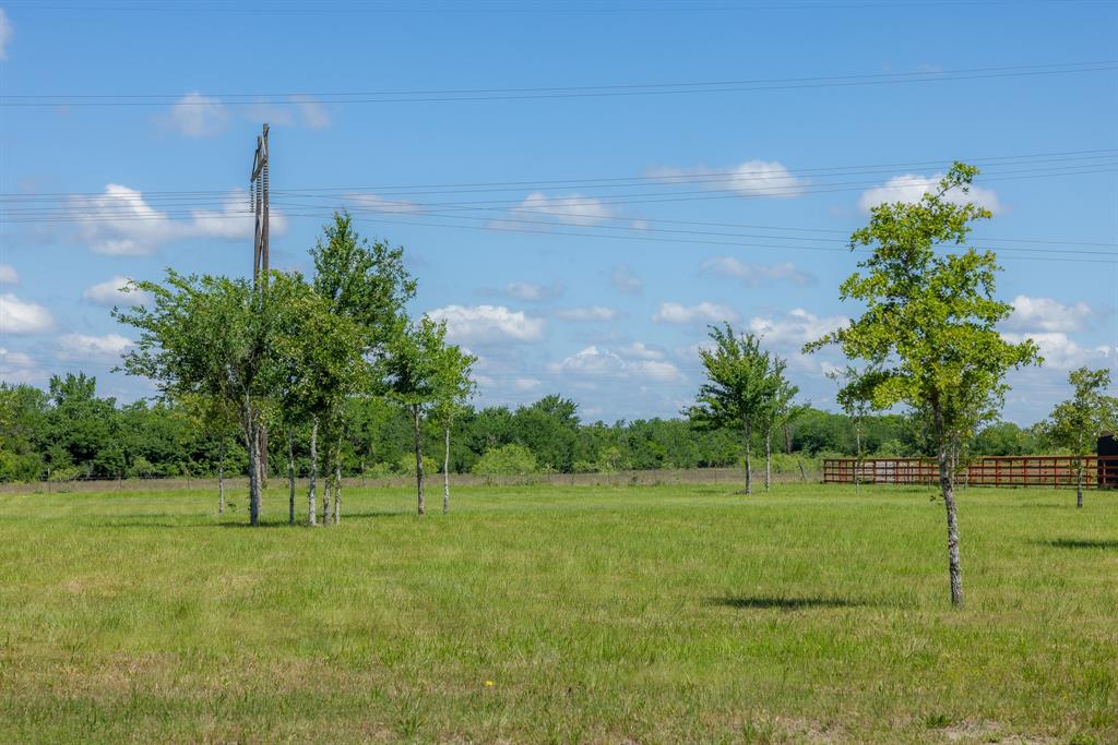 6809 Atakapan Trail, Bedias, Texas image 4