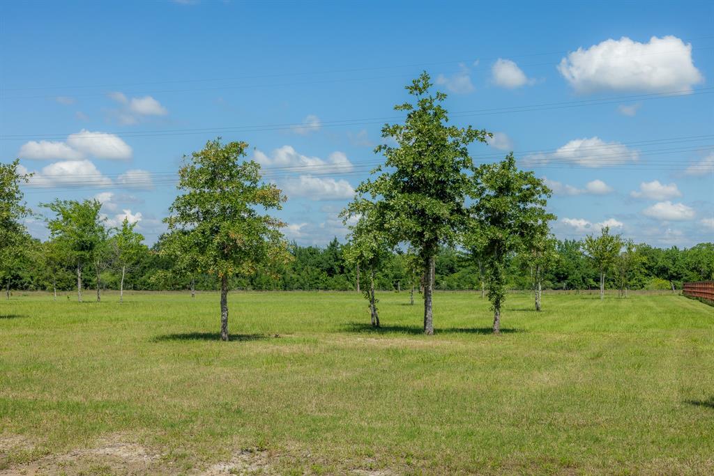 6809 Atakapan Trail, Bedias, Texas image 1