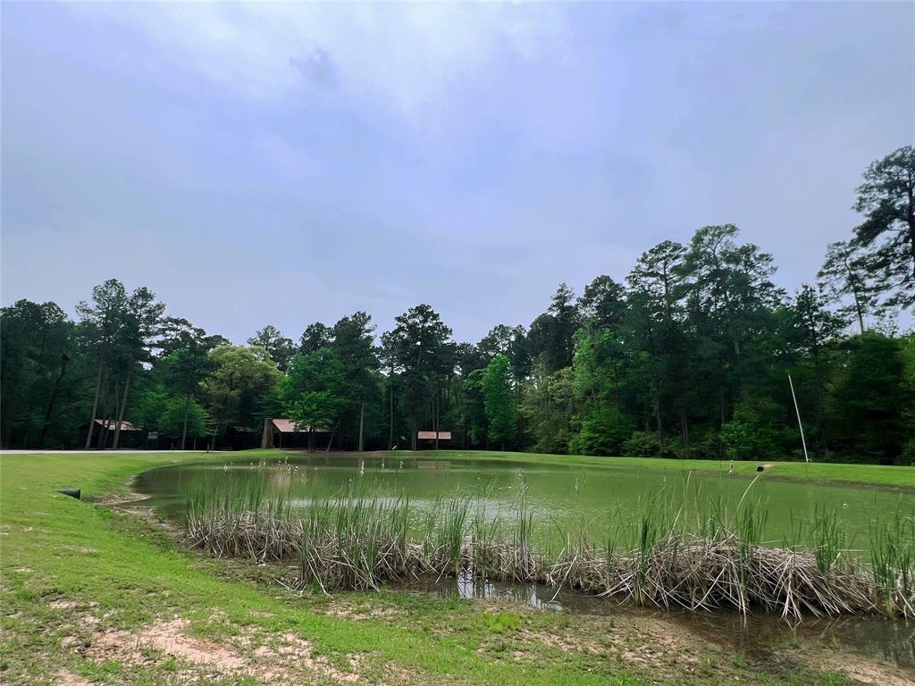 1-2-33 Dedication Trail, Huntsville, Texas image 4