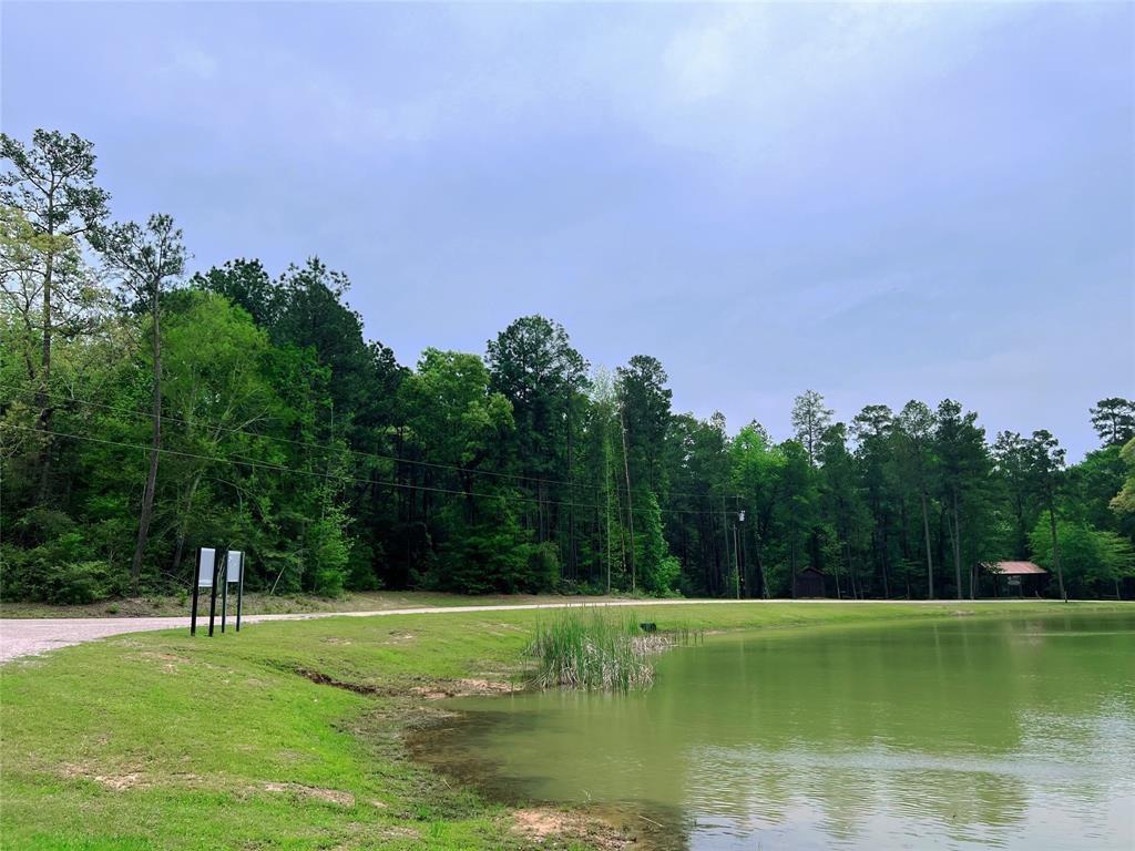 1-2-33 Dedication Trail, Huntsville, Texas image 3