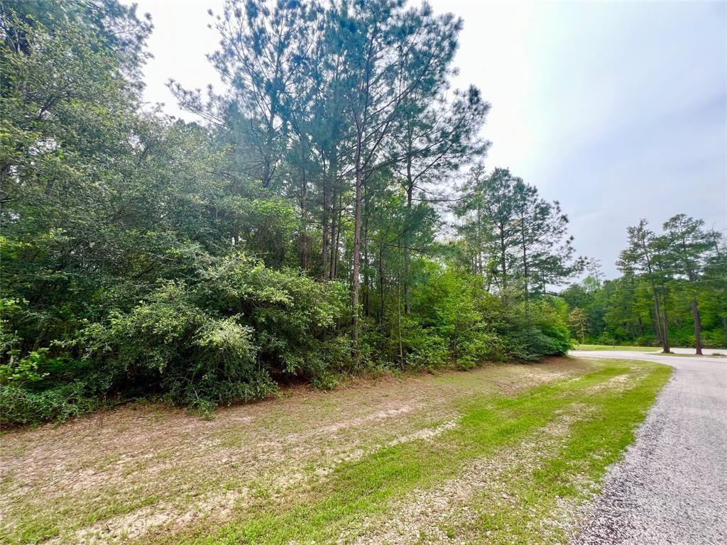 1-2-33 Dedication Trail, Huntsville, Texas image 15