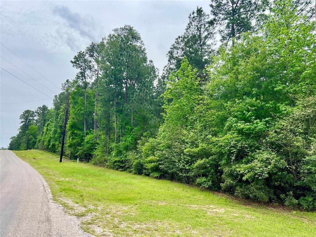 1-2-33 Dedication Trail, Huntsville, Texas image 14