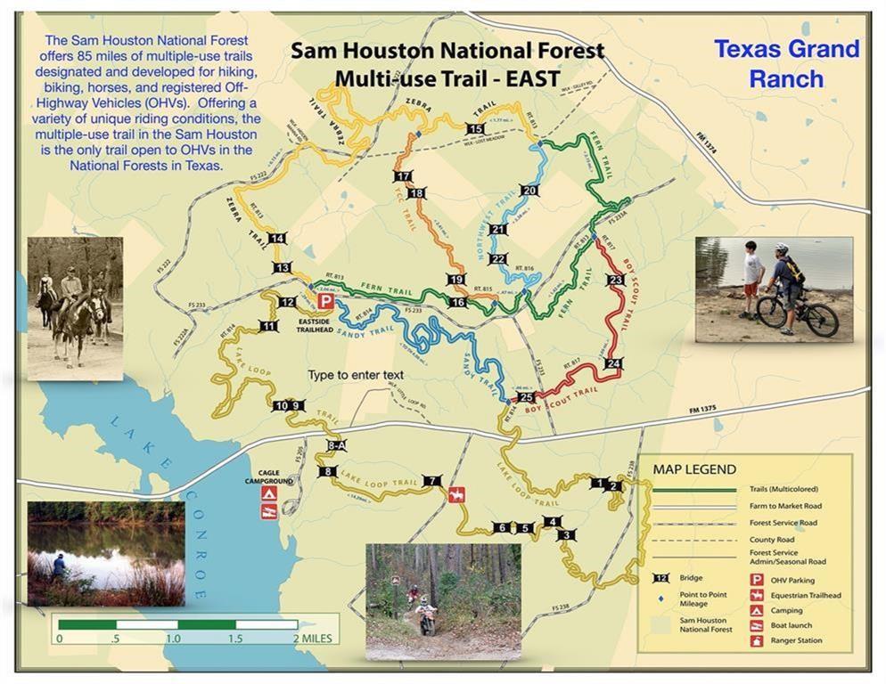 1-2-33 Dedication Trail, Huntsville, Texas image 23