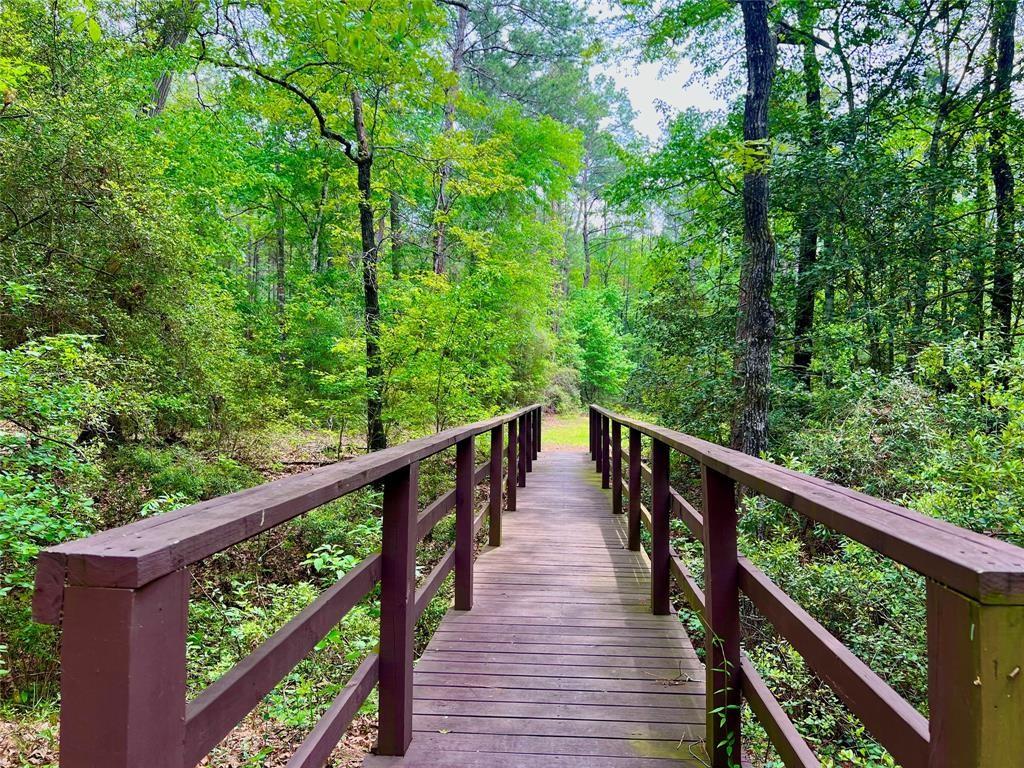 1-2-33 Dedication Trail, Huntsville, Texas image 7