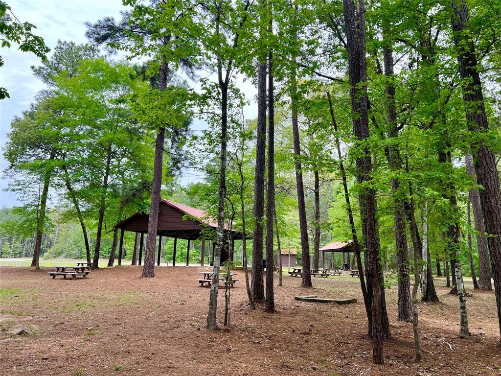 1-2-33 Dedication Trail, Huntsville, Texas image 5