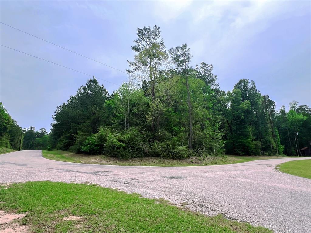 1-2-33 Dedication Trail, Huntsville, Texas image 13