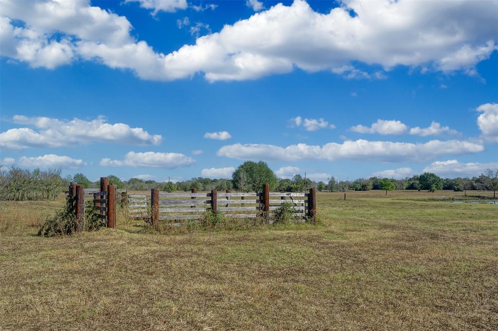 Lot 9 County Rd 229, Bedias, Texas image 8