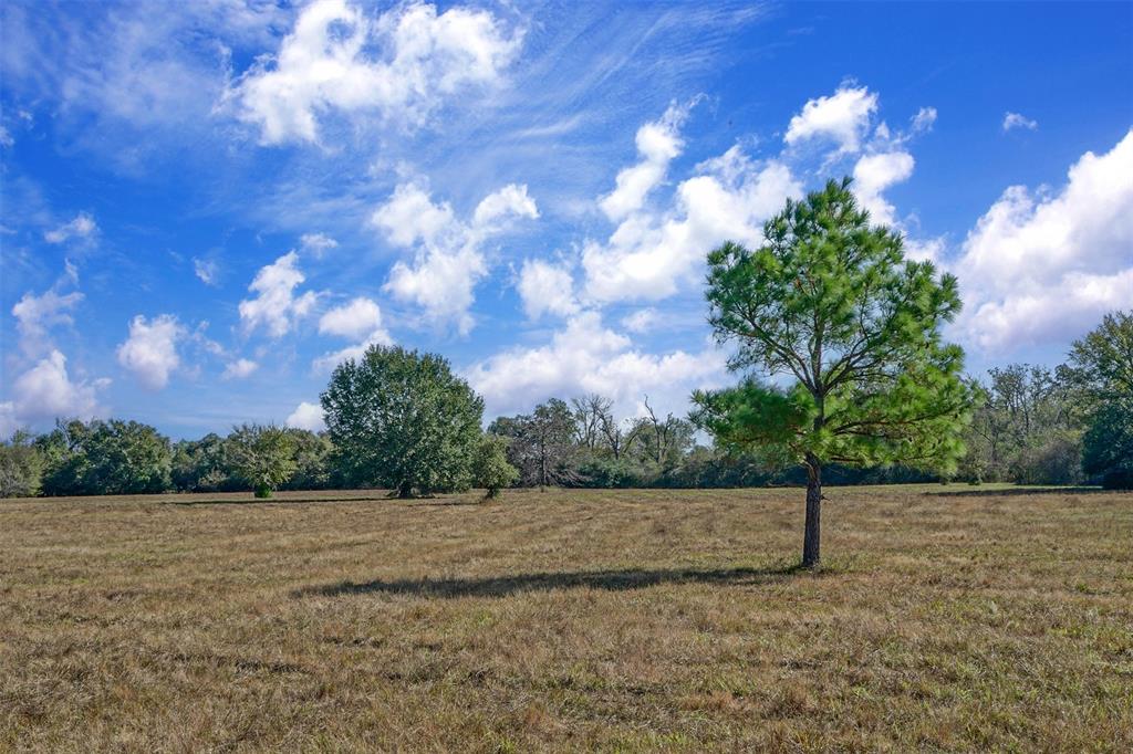 Lot 9 County Rd 229, Bedias, Texas image 15