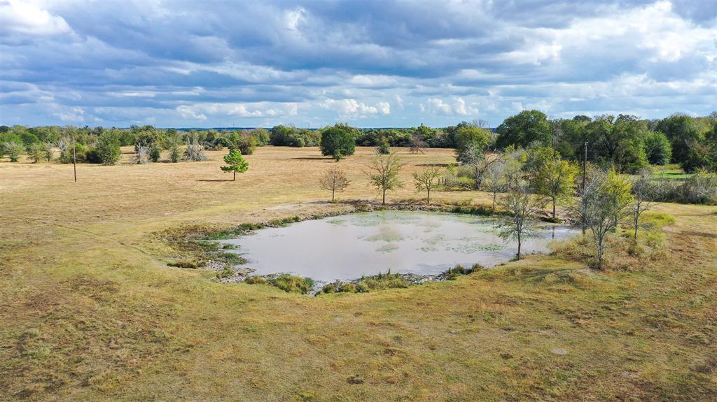 Lot 9 County Rd 229, Bedias, Texas image 12