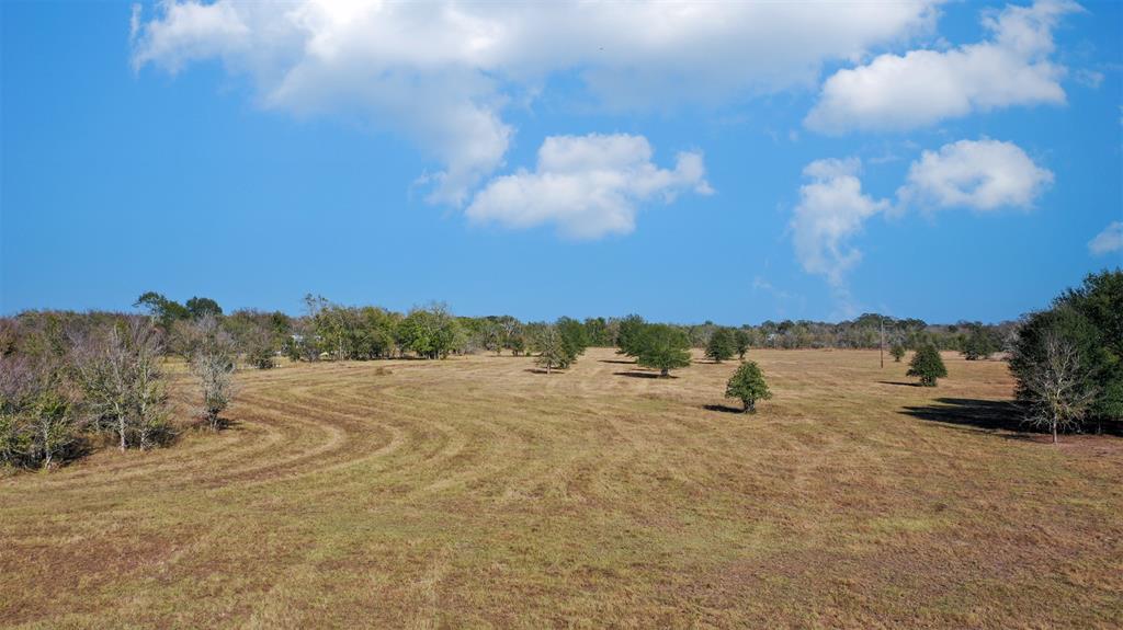 Lot 9 County Rd 229, Bedias, Texas image 11