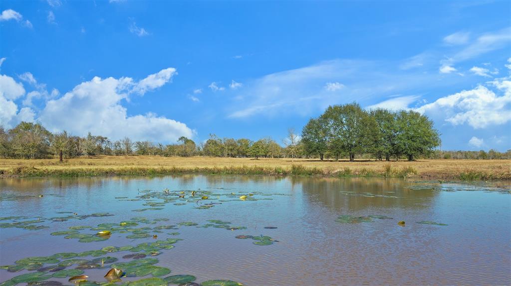 Lot 9 County Rd 229, Bedias, Texas image 2