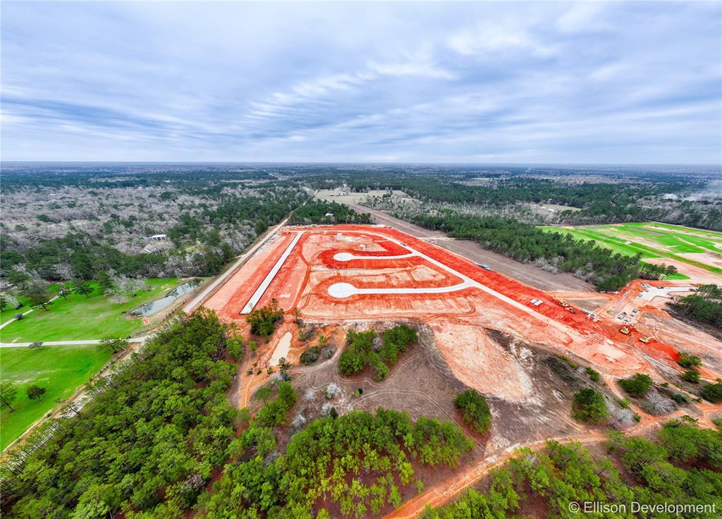 12331 Sword Point Court, Willis, Texas image 20