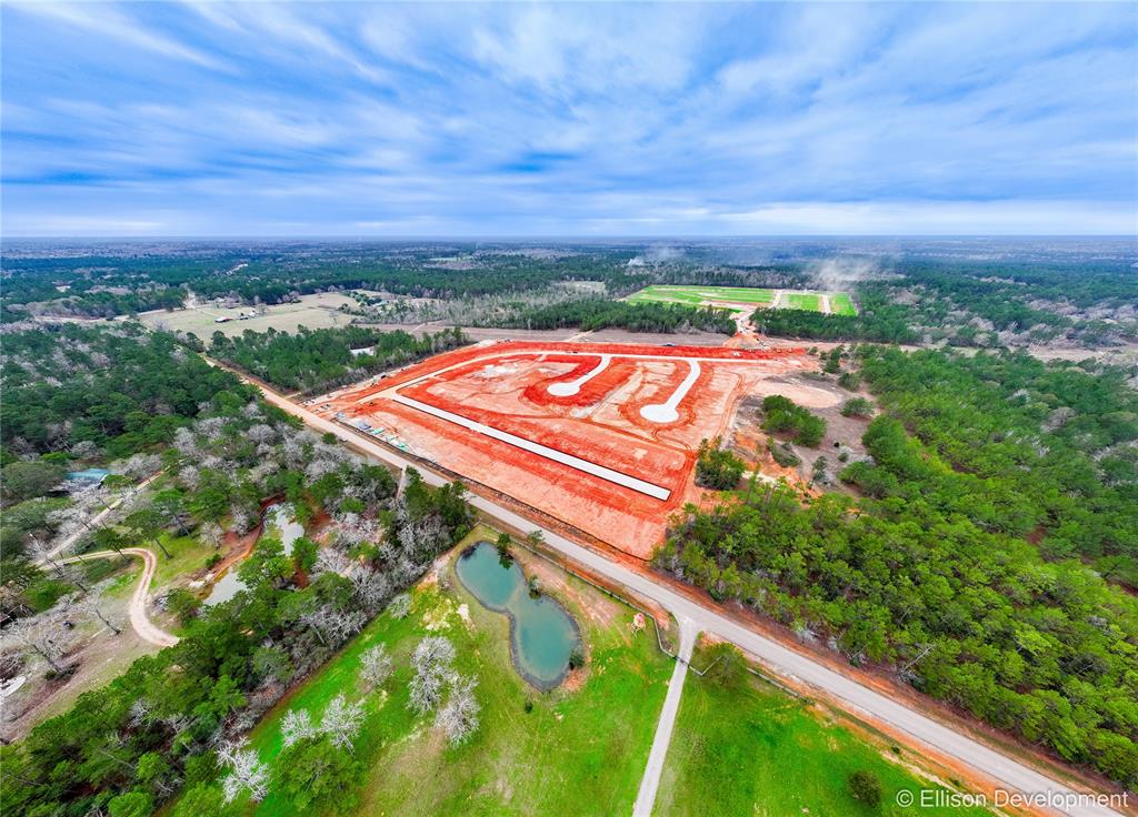 12331 Sword Point Court, Willis, Texas image 21