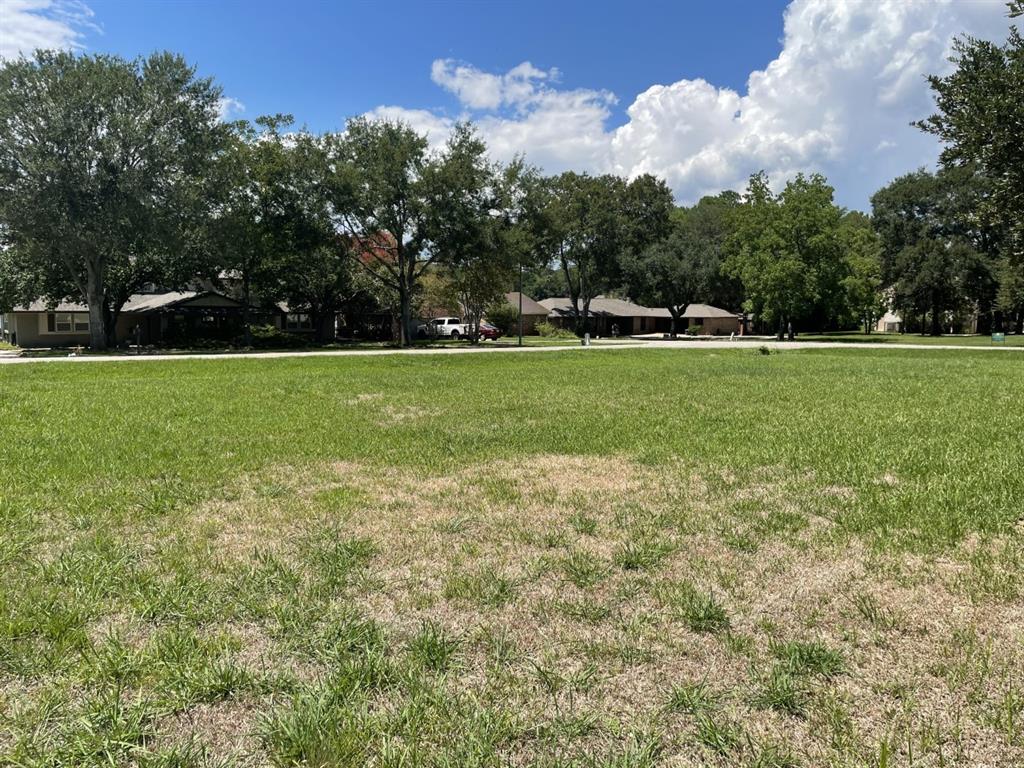 L72 W Shore Drive, Willis, Texas image 7