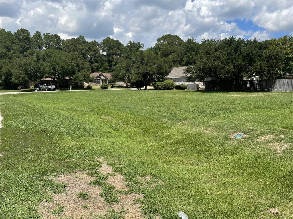 L72 W Shore Drive, Willis, Texas image 3