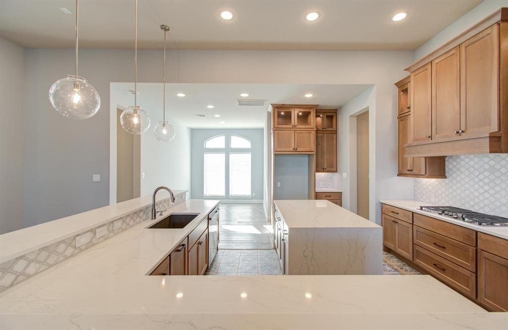 5226 Elk Meadows Lane, Manvel, Texas image 30