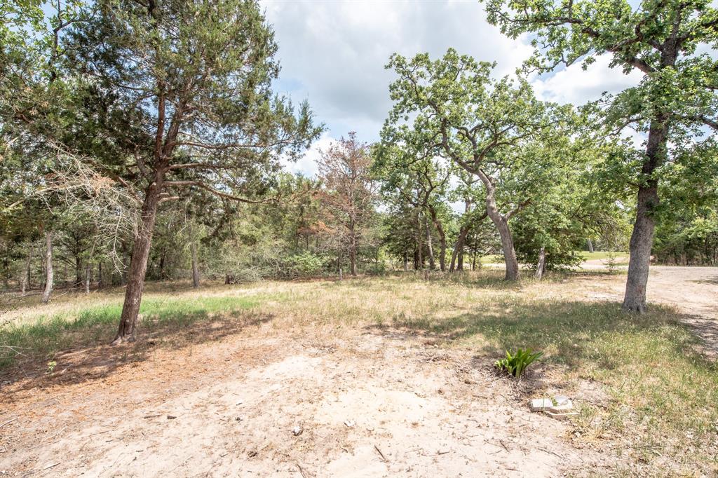 401 Berry Lane, Somerville, Texas image 6