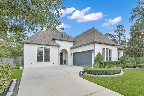 A home in Conroe