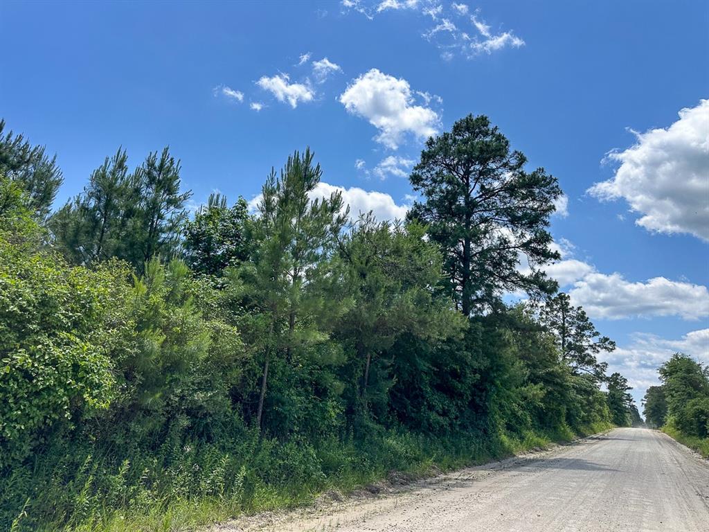 10 Friday Road, Groveton, Texas image 3