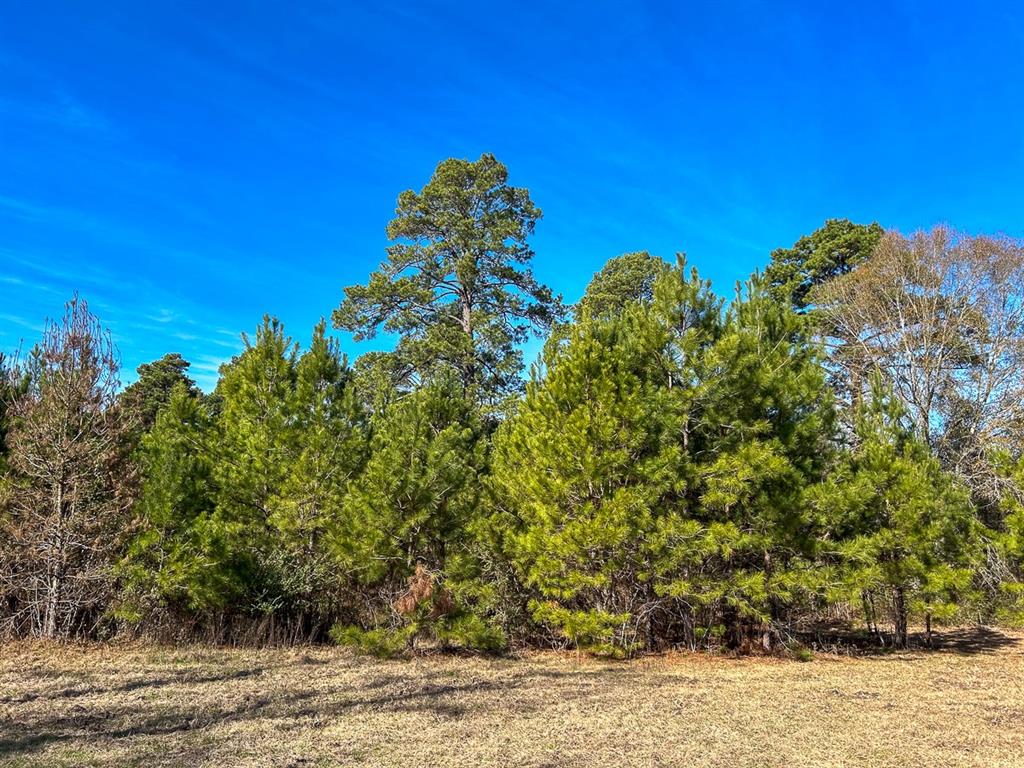 1469 Stubblefield Rd Dr, Lufkin, Texas image 10