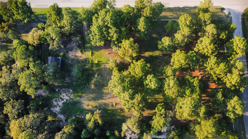 31601 Reids Prairie Road, Waller, Texas image 9