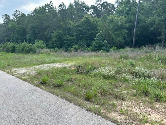 00 Sky Oak Lane Lane, Huntsville, Texas image 2