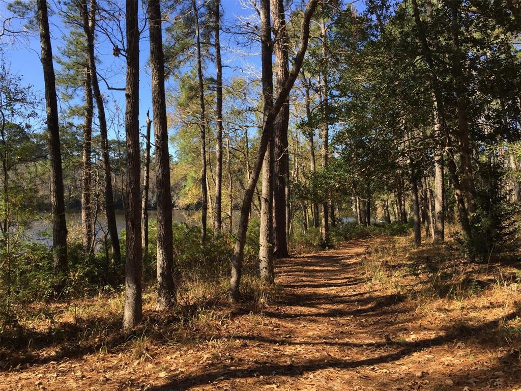 00 Sky Oak Lane Lane, Huntsville, Texas image 7