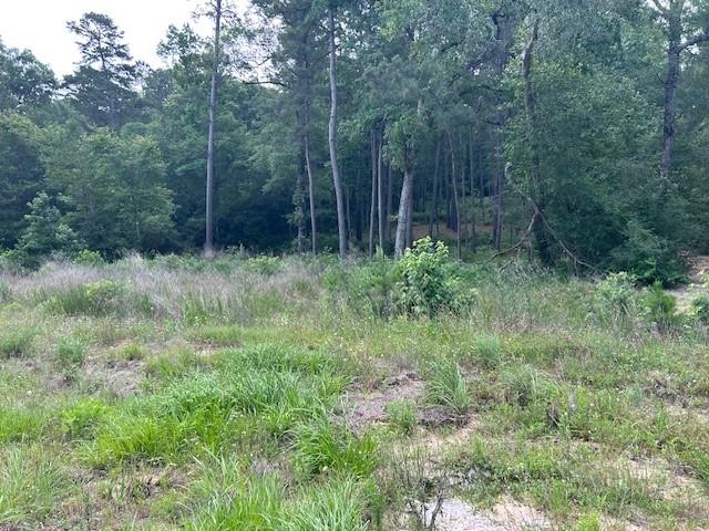 00 Sky Oak Lane Lane, Huntsville, Texas image 5