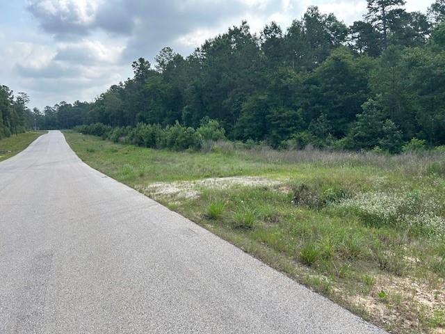 00 Sky Oak Lane Lane, Huntsville, Texas image 3