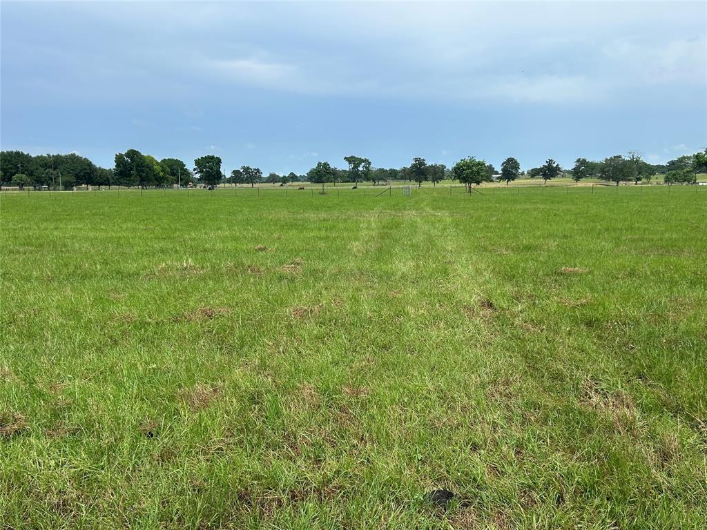 38785 Wiggins Road, Hempstead, Texas image 6