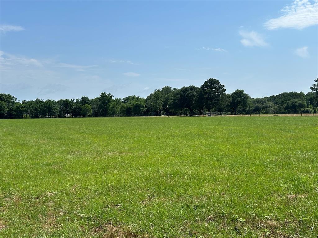 38785 Wiggins Road, Hempstead, Texas image 9