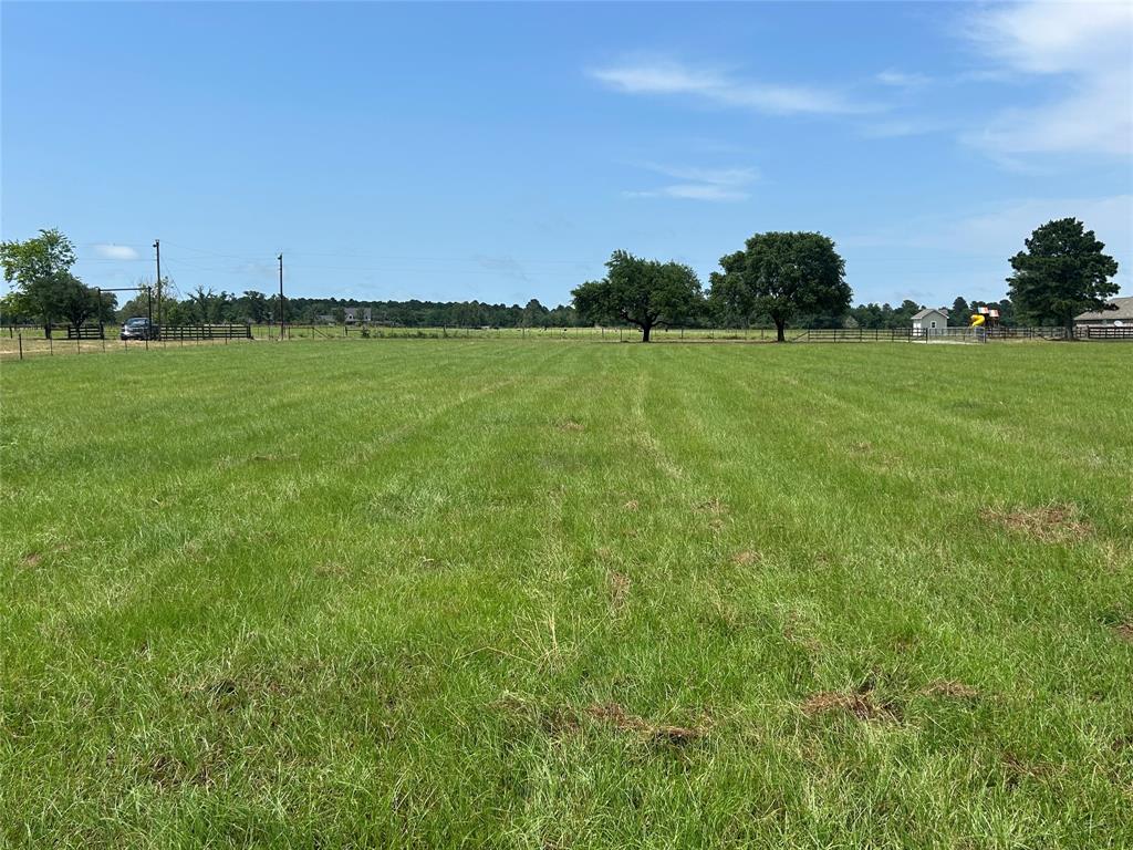 38785 Wiggins Road, Hempstead, Texas image 3