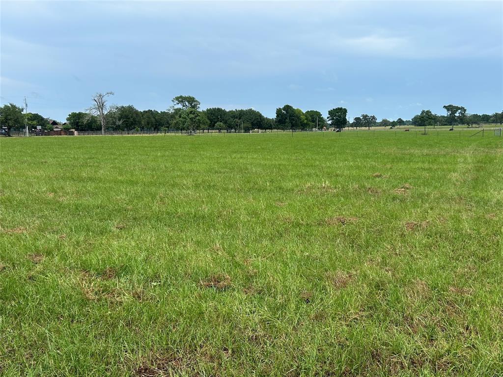 38785 Wiggins Road, Hempstead, Texas image 5