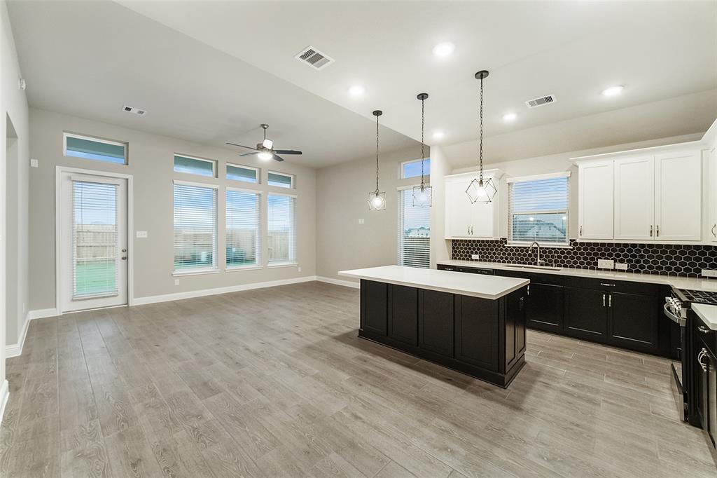 14628 Cedar Elm Court, Willis, Texas image 3