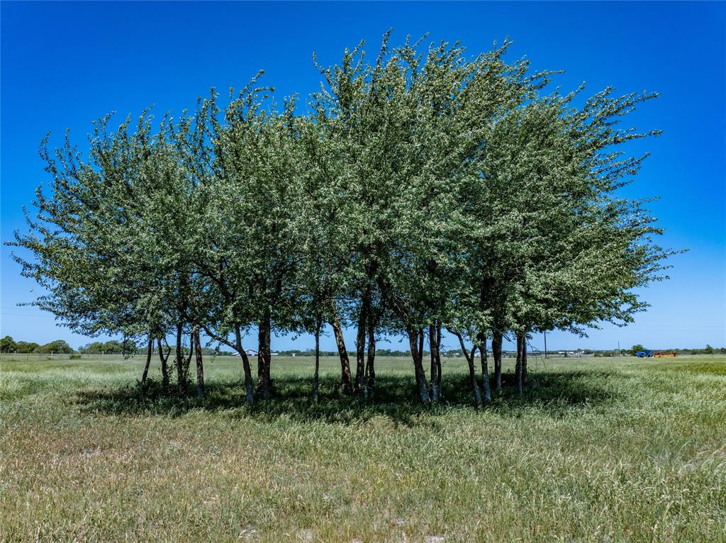 7267 Meiners Rd, Ledbetter, Texas image 5