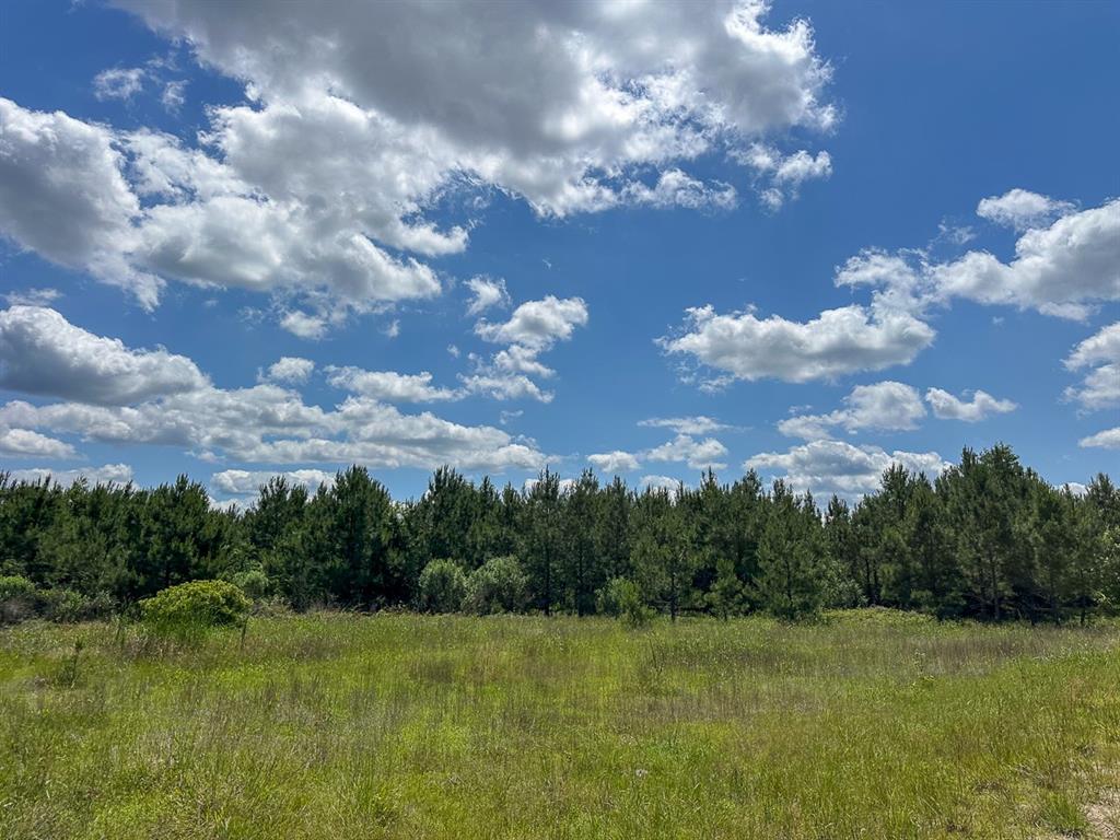 49 Easement Access, Groveton, Texas image 10