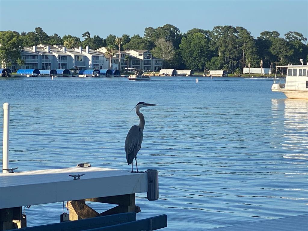 168 Lake Point Boulevard #D204, Conroe, Texas image 27