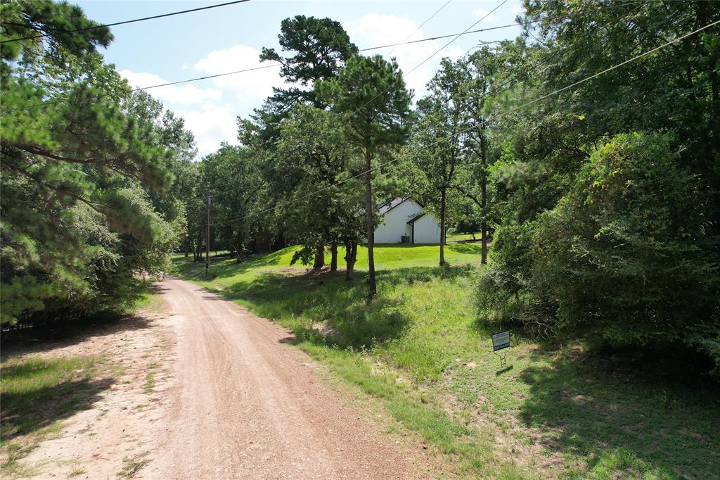 TBD Dailey Road / Cedar Bend Road Road, Crockett, Texas image 2