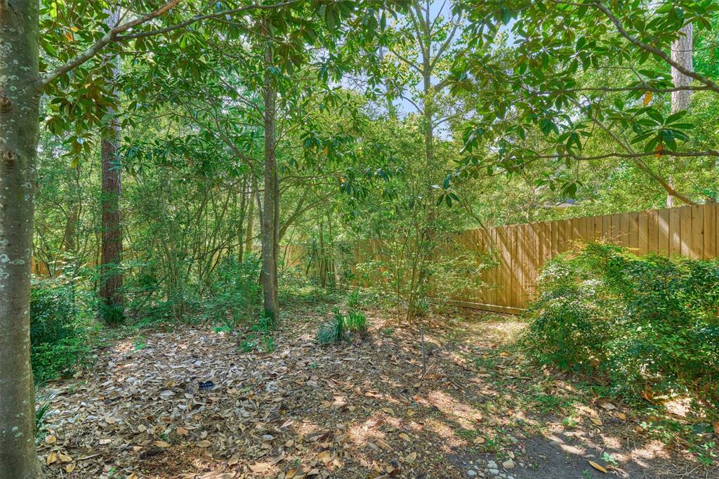 11 E Thymewood Place, The Woodlands, Texas image 39