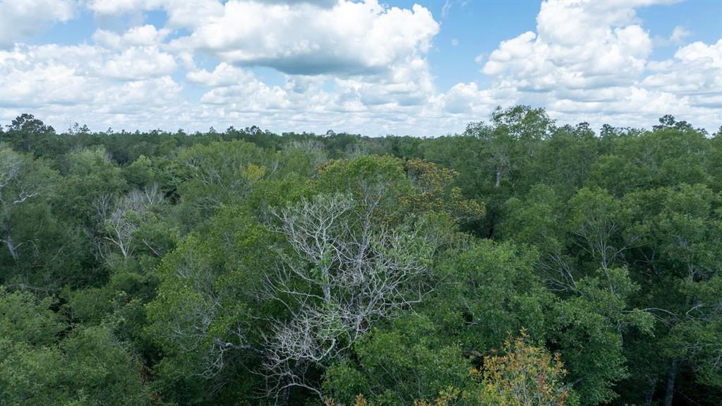 TBD 2 Fm-363, Newton, Texas image 14