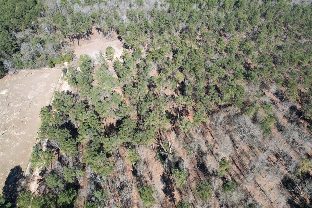 TBD-C County Road 3198, Mount Enterprise, Texas image 9