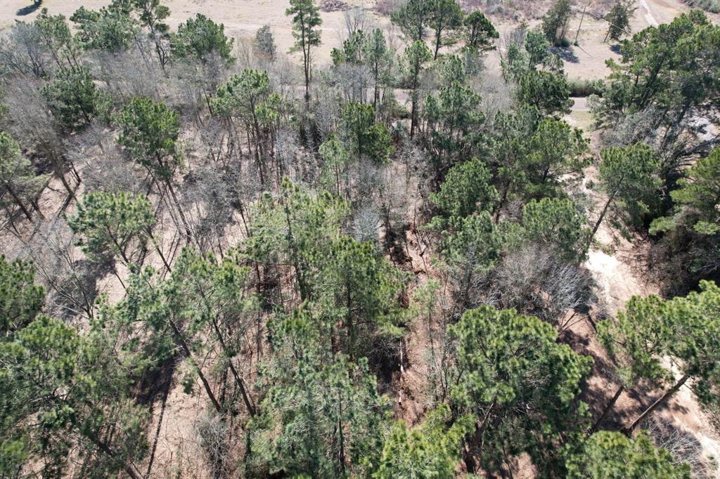 TBD-C County Road 3198, Mount Enterprise, Texas image 8