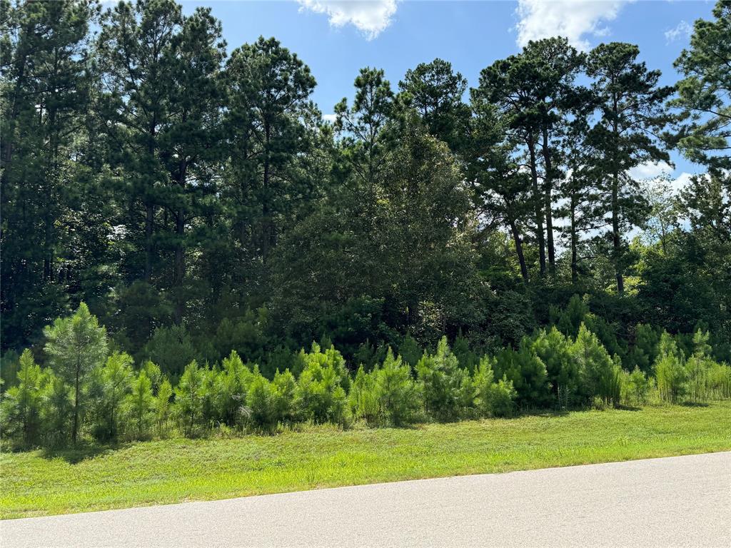 5-24-22 Rim Rock Road, Huntsville, Texas image 5